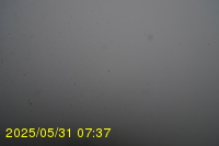 Img20250531_073734.jpg