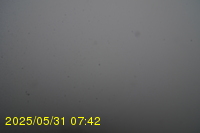 Img20250531_074234.jpg
