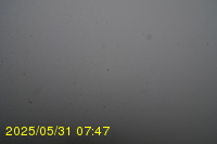 Img20250531_074734.jpg