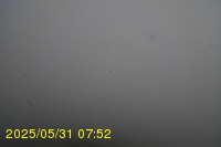 Img20250531_075234.jpg