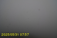 Img20250531_075734.jpg