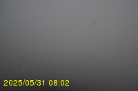 Img20250531_080234.jpg