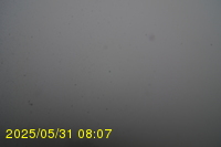 Img20250531_080734.jpg