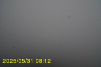 Img20250531_081234.jpg