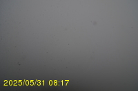 Img20250531_081734.jpg