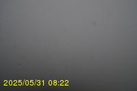 Img20250531_082234.jpg