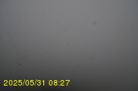 Img20250531_082734.jpg