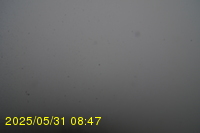 Img20250531_084734.jpg
