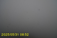 Img20250531_085234.jpg