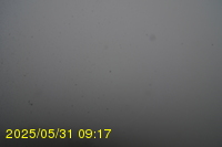 Img20250531_091734.jpg