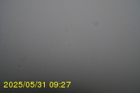 Img20250531_092734.jpg