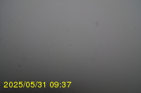 Img20250531_093734.jpg