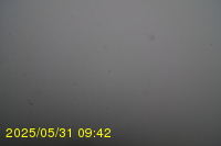 Img20250531_094234.jpg