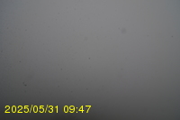 Img20250531_094734.jpg