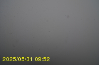 Img20250531_095234.jpg