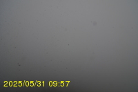 Img20250531_095734.jpg