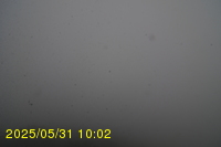 Img20250531_100234.jpg
