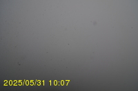 Img20250531_100734.jpg
