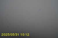 Img20250531_101234.jpg