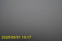 Img20250531_101734.jpg