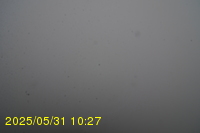 Img20250531_102734.jpg