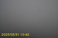 Img20250531_104234.jpg