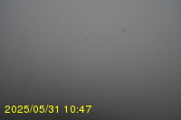 Img20250531_104734.jpg