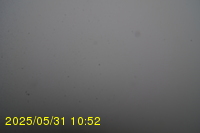 Img20250531_105234.jpg