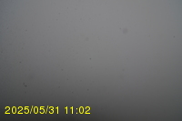 Img20250531_110234.jpg