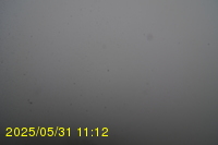 Img20250531_111235.jpg