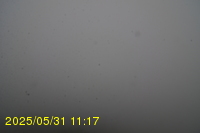 Img20250531_111735.jpg