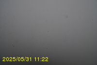 Img20250531_112235.jpg