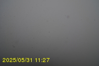 Img20250531_112735.jpg