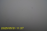 Img20250531_113735.jpg