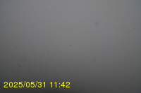 Img20250531_114235.jpg