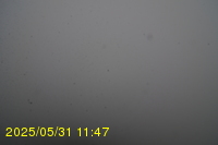 Img20250531_114735.jpg