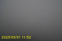 Img20250531_115235.jpg