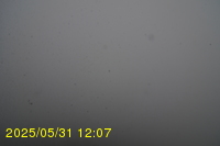 Img20250531_120735.jpg