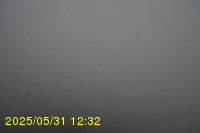Img20250531_123235.jpg
