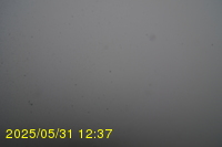 Img20250531_123735.jpg