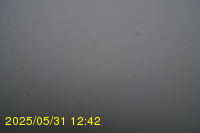 Img20250531_124235.jpg