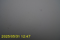 Img20250531_124735.jpg