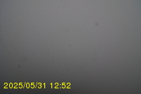 Img20250531_125235.jpg