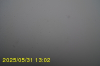 Img20250531_130235.jpg