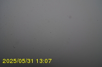 Img20250531_130735.jpg
