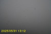 Img20250531_131235.jpg
