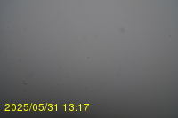 Img20250531_131735.jpg