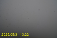 Img20250531_132235.jpg