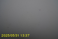 Img20250531_133735.jpg