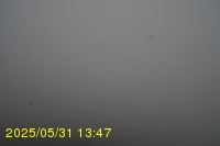 Img20250531_134735.jpg